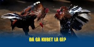 Đá Gà Kubet