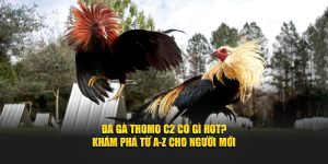 Đá gà Thomo C2