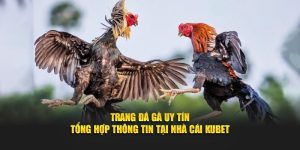 Trang đá gà uy tín